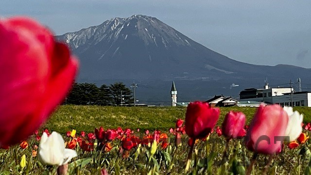 新年度が始まりました